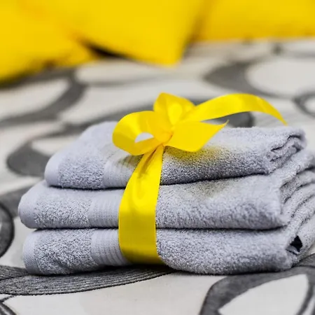 Black & Yellow Centrally Located Studio Нови Сад Екстериор снимка