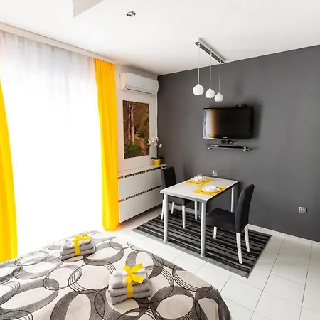 Black & Yellow Centrally Located Studio Нови Сад Екстериор снимка